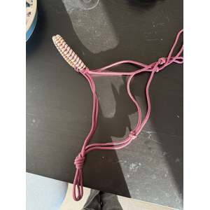 licol éthologique