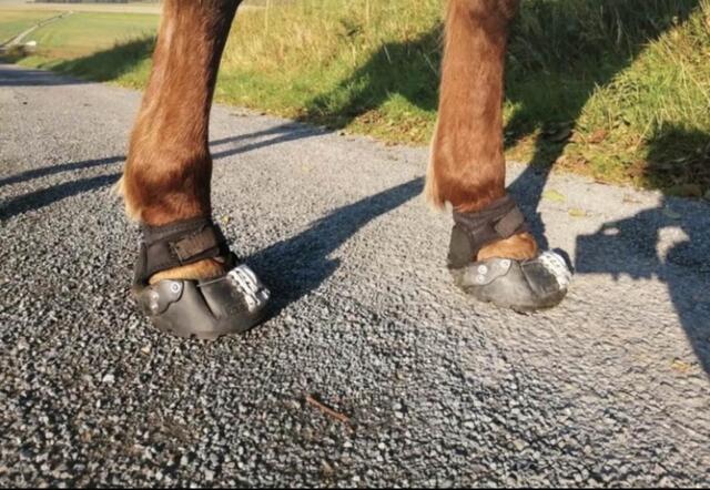 East boots