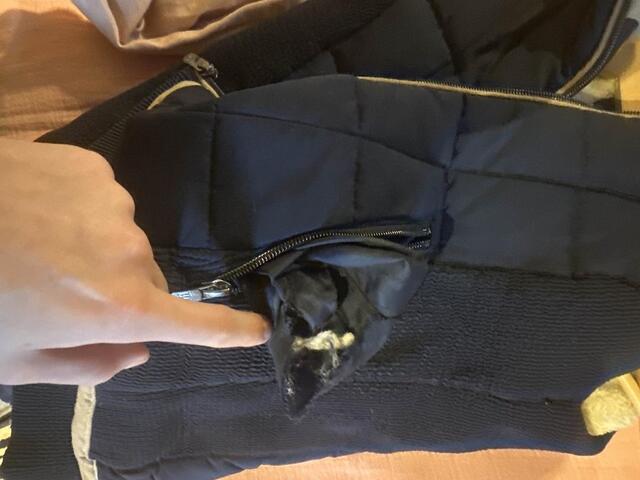 veste Pénélope manche courte