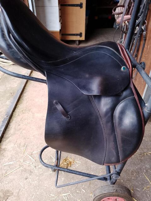 Selle stubben