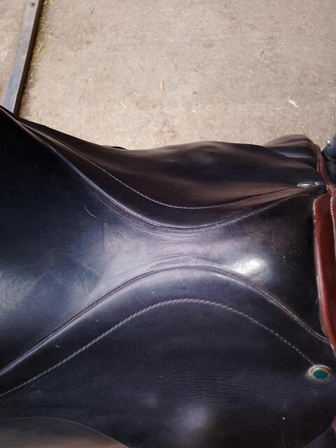 Selle stubben