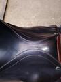 Selle stubben