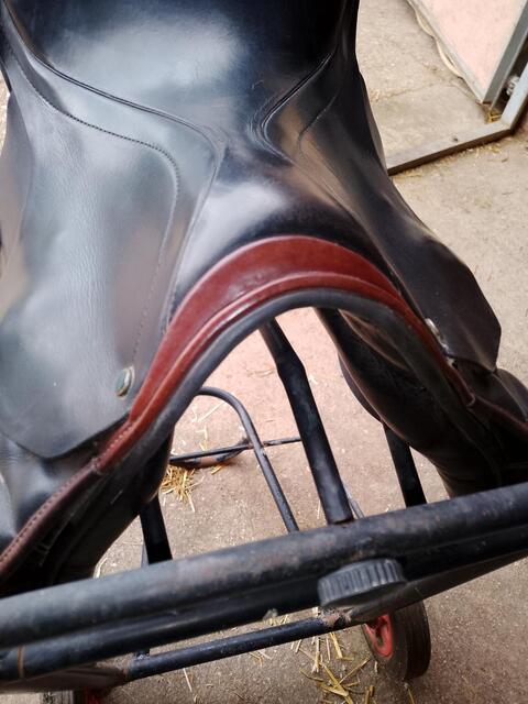 Selle stubben