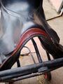 Selle stubben