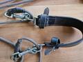 Gogue taille cheval.