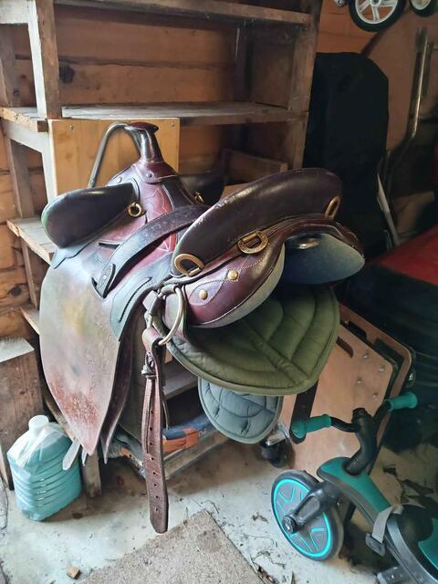 Selle Australienne en Cuir – Complète (sauf sangle ventrale) – Arcade Large