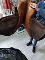 lot équitation avec selles, house, tapis coolback