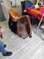 lot équitation avec selles, house, tapis coolback