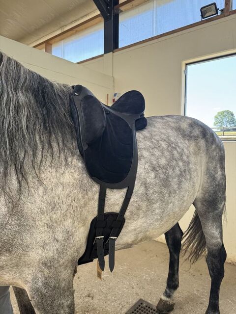 Selle Devoucoux makila Harmonie S