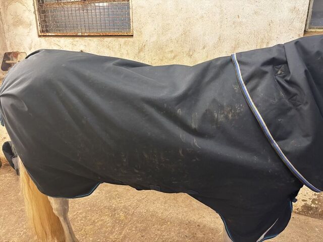 Couverture Horseware