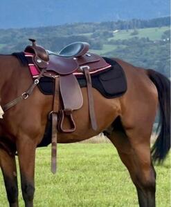 Selle Western 16"