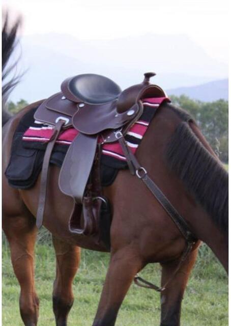 Selle Western 16"
