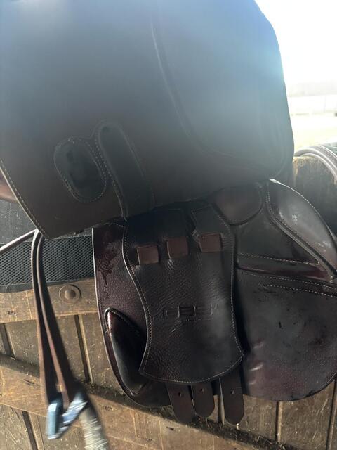 Selle GBS