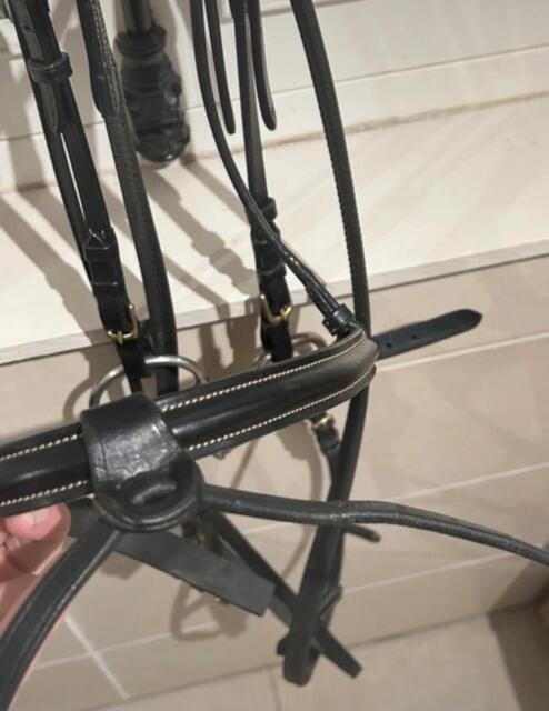 Filet Time Rider taille Cheval
