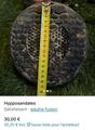 Hypposandales
