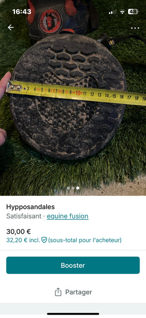 Hypposandales