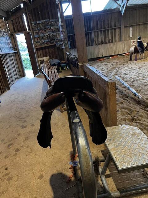 Selle CWD