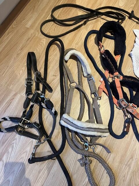 affaires équitation
