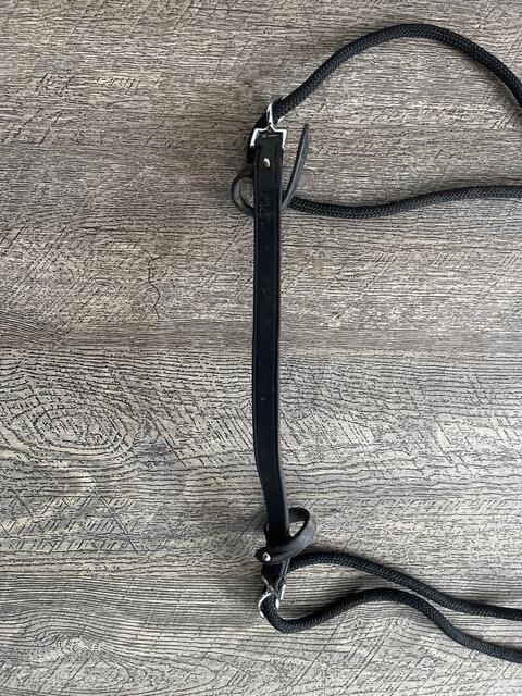 enrenement/gogue pour cheval