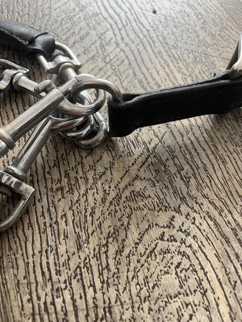 enrenement/gogue pour cheval