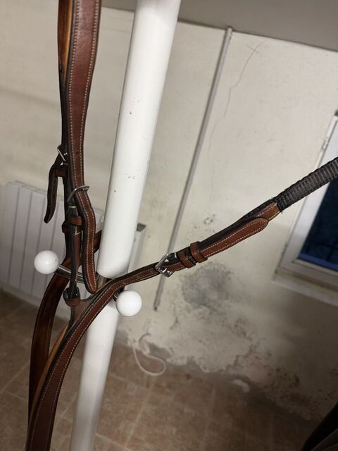 collier de chasse butet