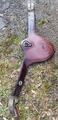 Bavette forestier