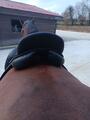 Selle de dressage Darroze