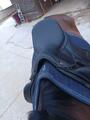 Selle de dressage Darroze