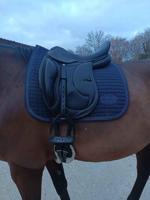 Selle de dressage Darroze