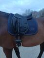 Selle de dressage Darroze