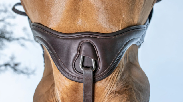 Sangle de saut d’obstacles Gel-Tek Anatomic