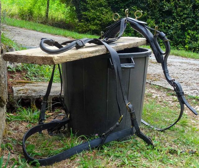Harnais complet d'attelage pour grand poney ou petit cheval
