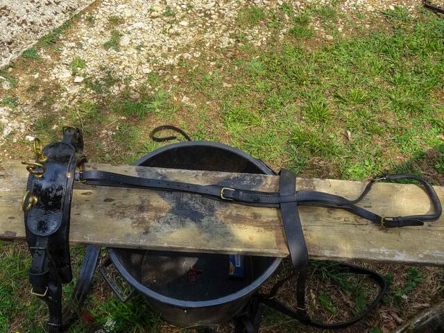 Harnais complet d'attelage pour grand poney ou petit cheval