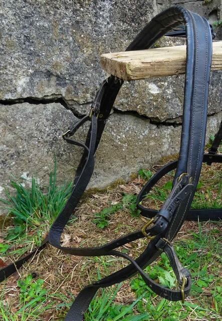Harnais complet d'attelage pour grand poney ou petit cheval