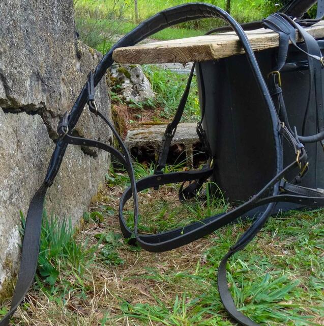 Harnais complet d'attelage pour grand poney ou petit cheval