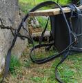 Harnais complet d'attelage pour grand poney ou petit cheval