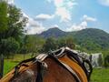 Harnais complet d'attelage pour grand poney ou petit cheval