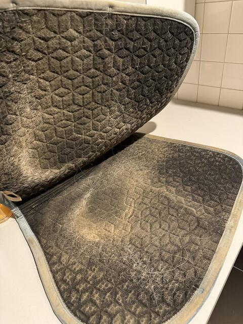 Tapis Kentucky Velvet