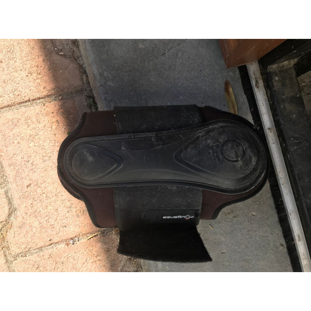 Guêtres antérieures