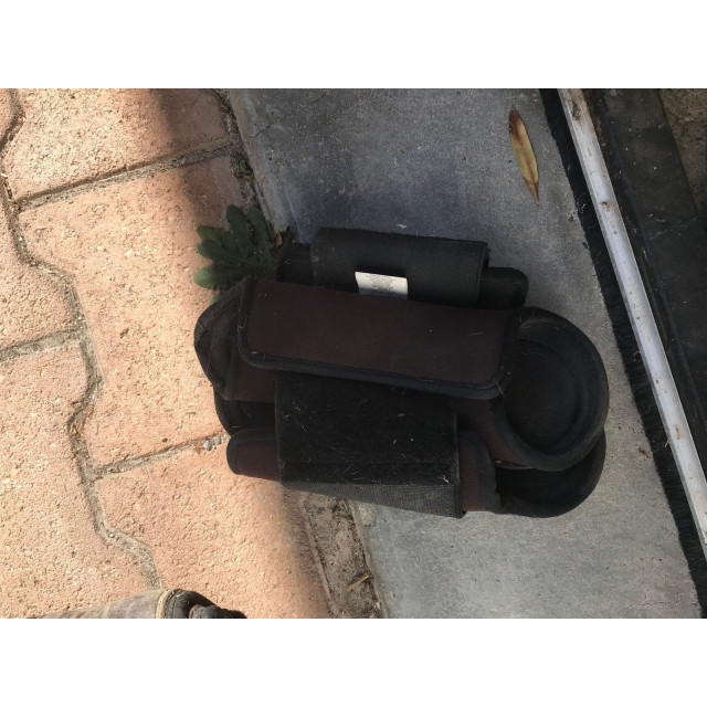 Guêtres antérieures