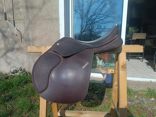 Selle wintec projump 16"