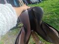Selle wintec projump 16"