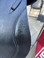 Selle de dressage noire 17,5 CWD
