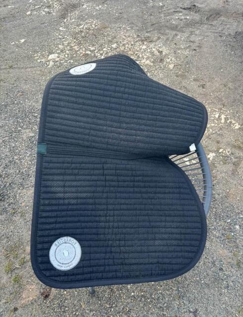 Tapis forestier vert