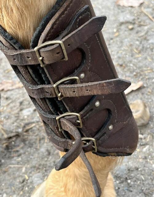guêtres cross cuir
