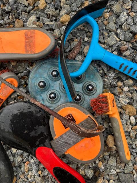 Lot de brosses hippotonic oranges