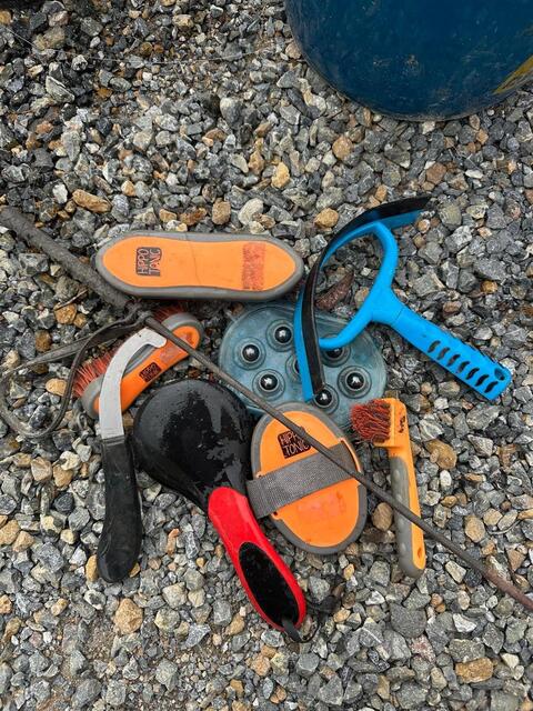 Lot de brosses hippotonic oranges