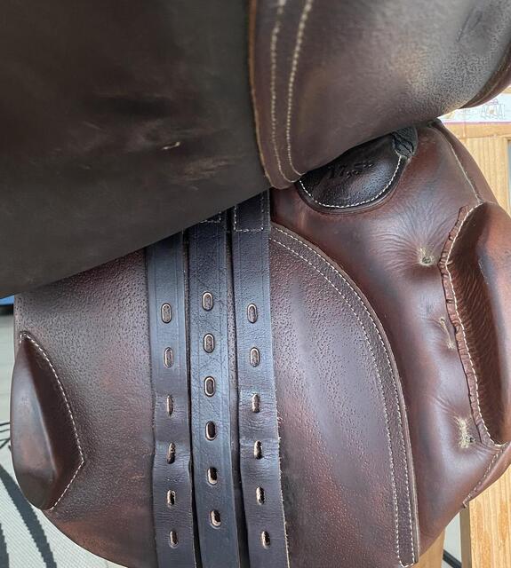 Selle mixte 2022