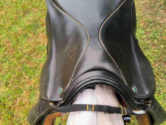 selle de dressage / loisir STUBBEN