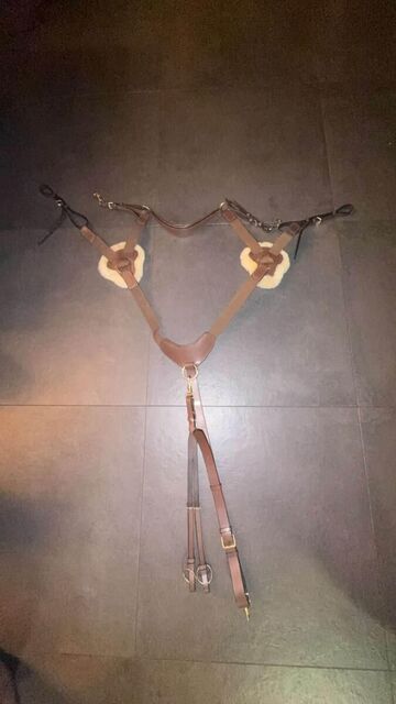 collier de chasse